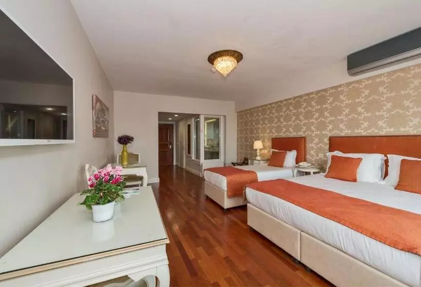 Fotos del hotel Suitel Bosphorus Taksim:  14