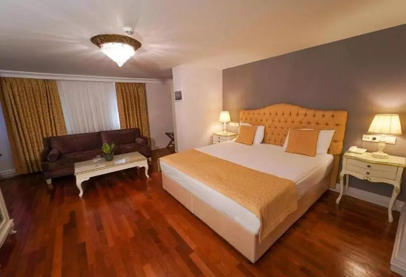 Fotos del hotel Suitel Bosphorus Taksim:  10