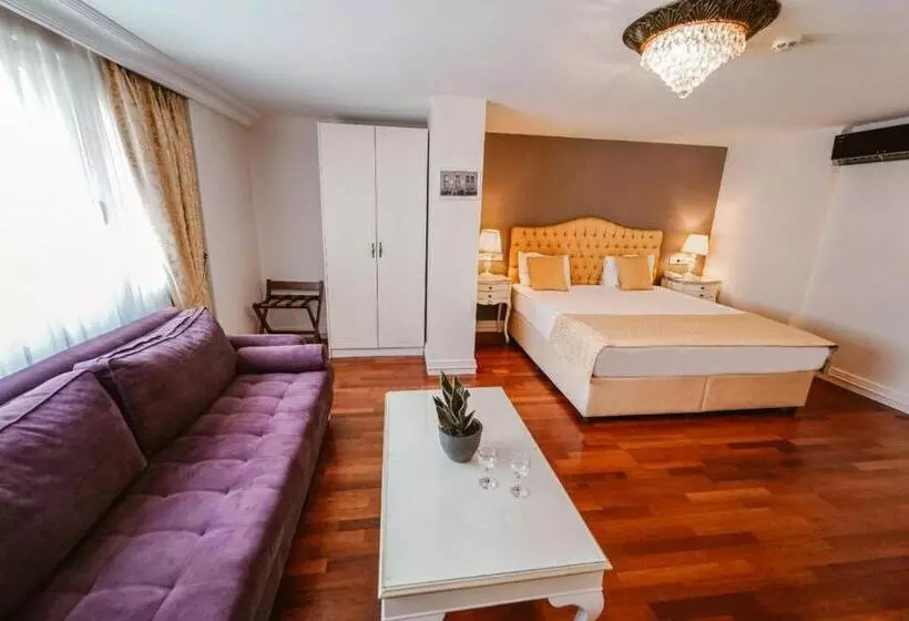 Fotos del hotel Suitel Bosphorus Taksim:  12