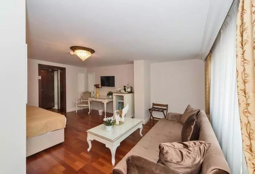 Fotos del hotel Suitel Bosphorus Taksim:  16