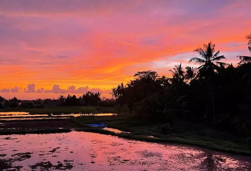 Fotos del hotel Luxe Villas Bali:  5