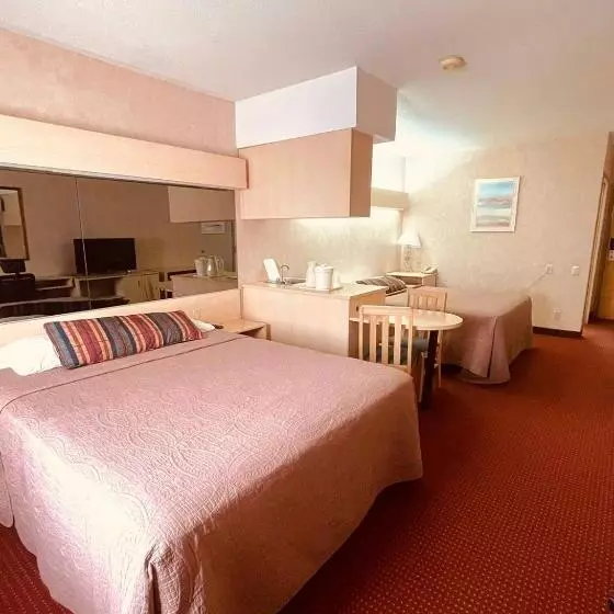 Fotos del hotel Metrotel Express:  13