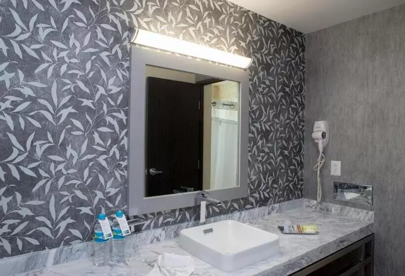 Fotos del hotel Holiday Inn Express Queretaro:  18