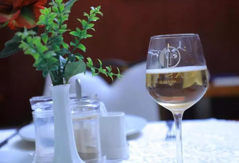 Fotos del hotel Sidra International:  11