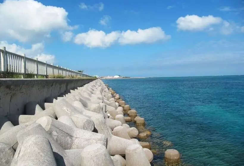 Fotos del hotel Tulip Ishigakijima:  20