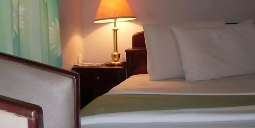Fotos del hotel Wadoma Royale:  13