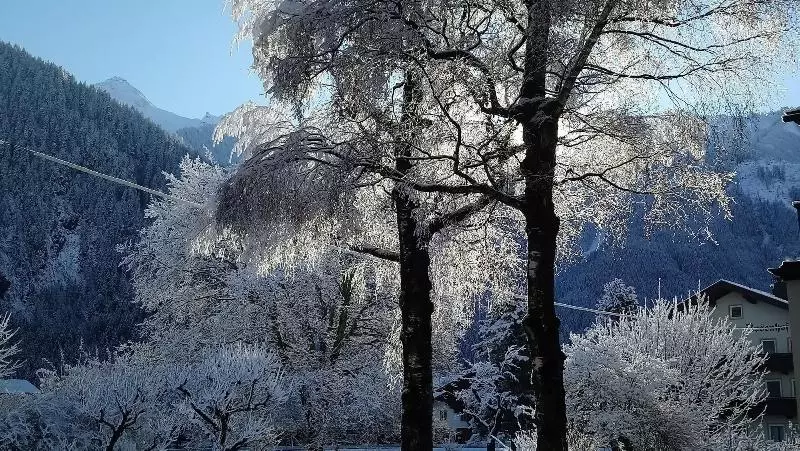 Fotos del hotel Garni Birkenhof:  19