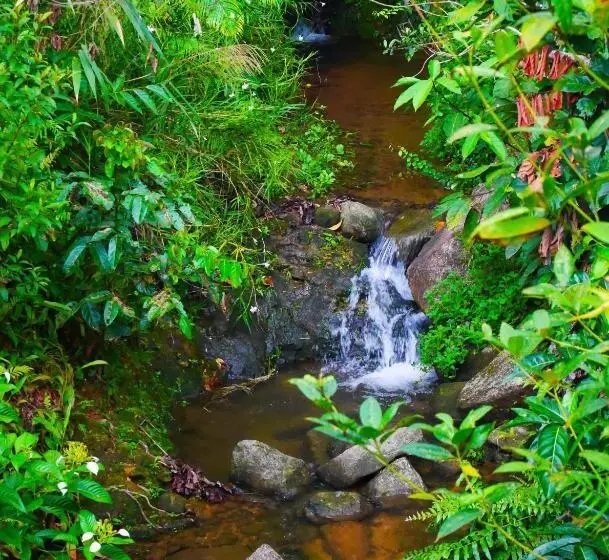 Fotos del hotel The Mouth Resort:  9