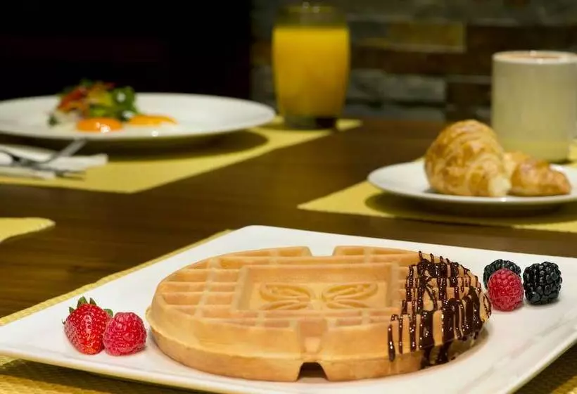 Fotos del hotel Hilton Garden Inn Dubai Al Mina  Jumeirah:  3