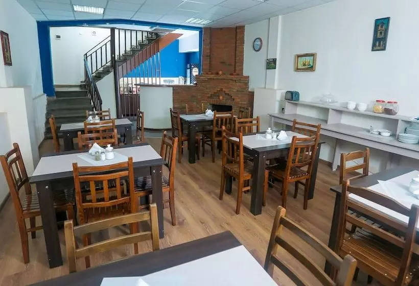 Fotos del hotel New Metekhi:  3