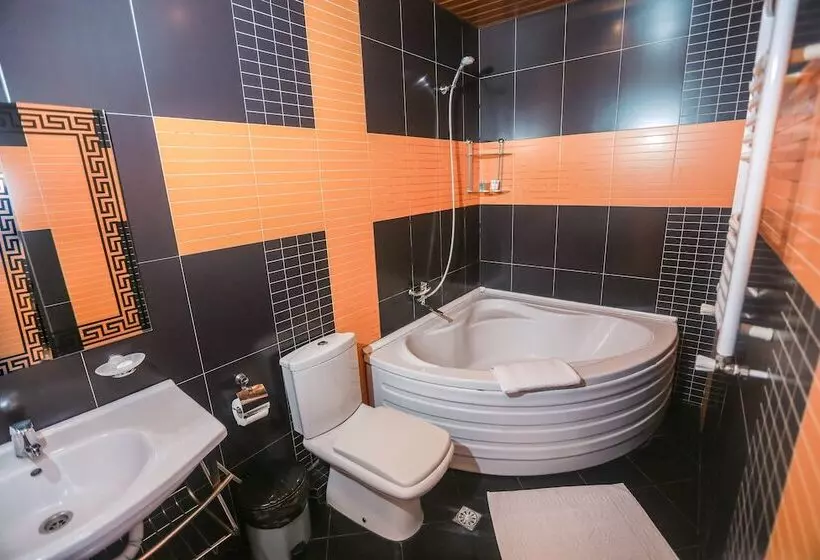 Fotos del hotel New Metekhi:  11