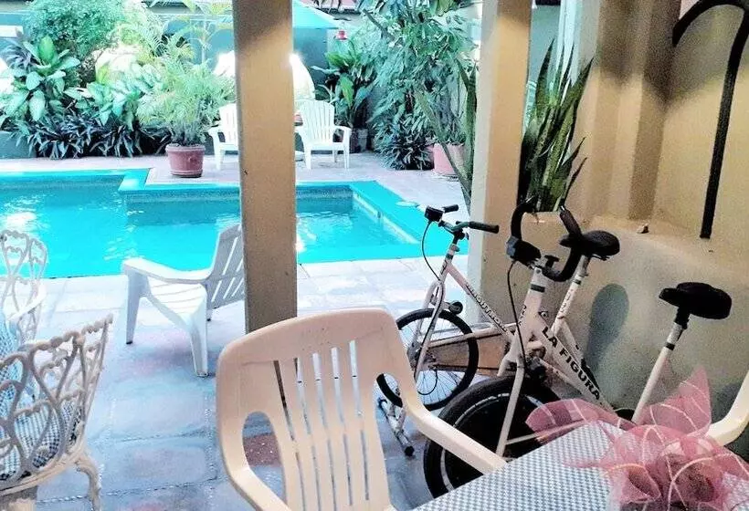 Fotos del hotel Solimar Inn Suites:  21