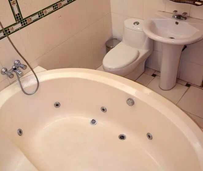 Fotos del hotel Le Saintetienne:  14