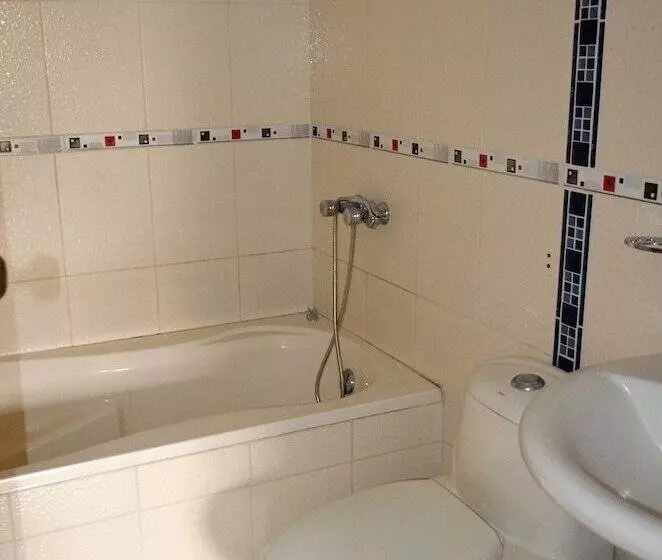 Fotos del hotel Le Saintetienne:  4