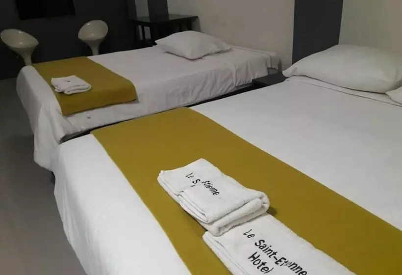 Fotos del hotel Le Saintetienne:  22