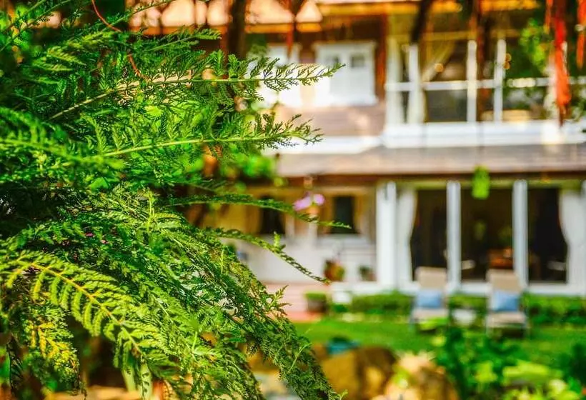 Fotos del hotel Banyan House Samui Bed And Breakfast:  25