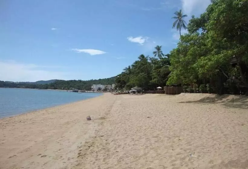 Fotos del hotel Cocooning:  4