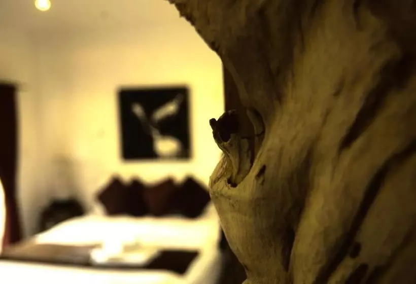 Fotos del hotel Cocooning:  6