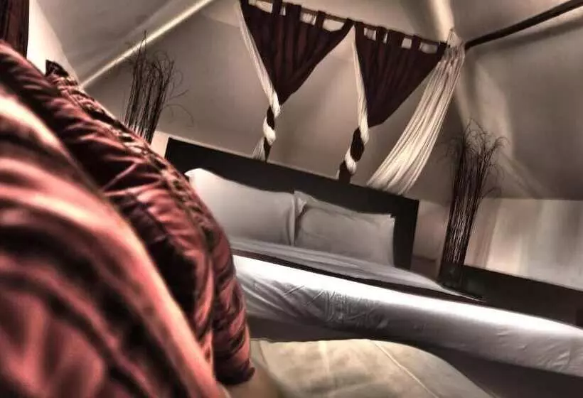 Fotos del hotel Cocooning:  15