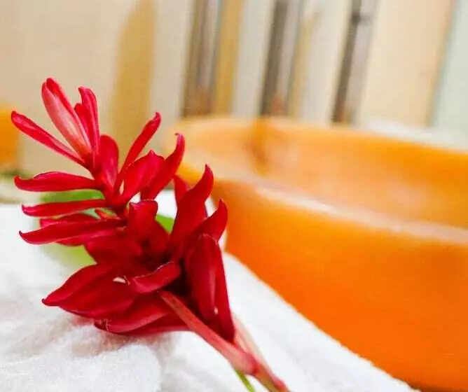 Fotos del hotel Villas San Sebastián:  6