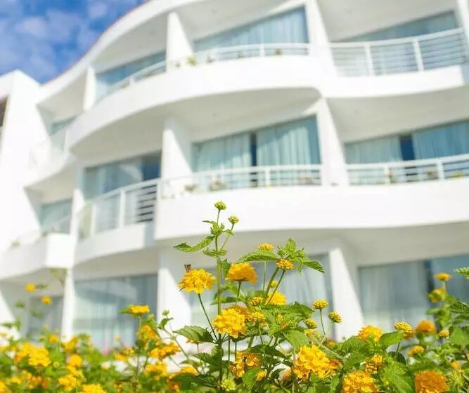 Vista Pacífico  Asia