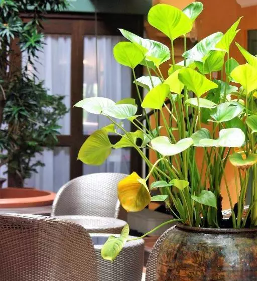 Fotos del hotel Yeng Keng:  20