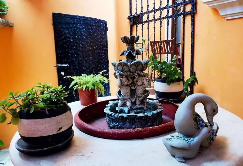 Fotos del hotel Capital O Casa Mallorca:  15