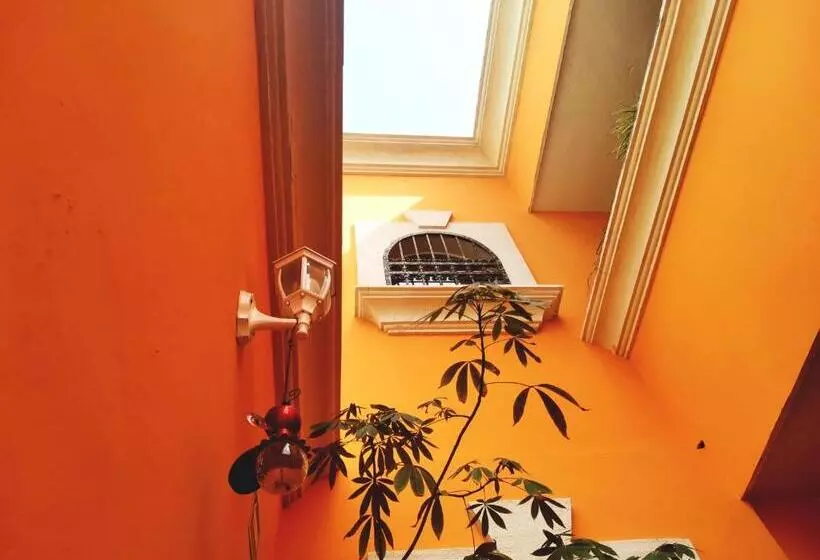 Fotos del hotel Capital O Casa Mallorca:  24