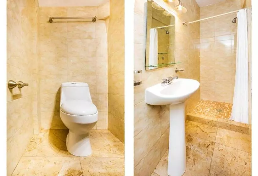 Fotos del hotel Capital O Casa Mallorca:  20