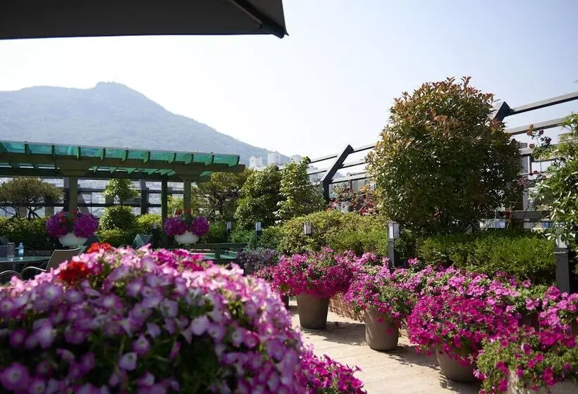 Fotos del hotel Busan Beach  Busan Songdo:  6