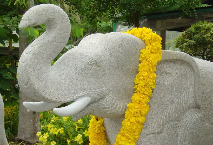 Fotos del hotel Jungle Village Bungalows:  5