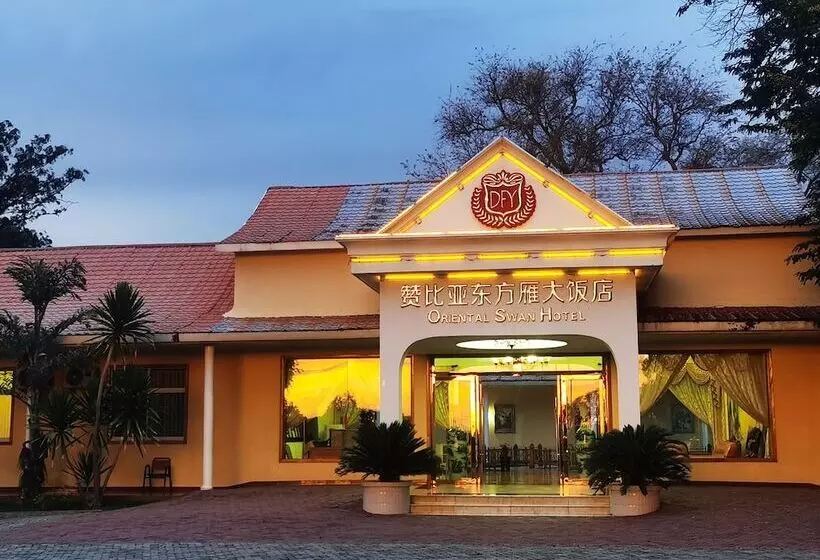 Oriental Swan  Livingstone