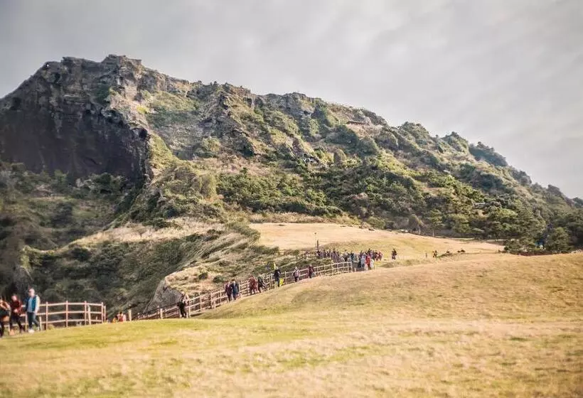 Fotos del hotel Aroha:  22