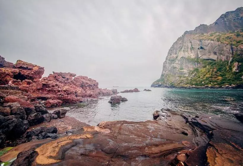 Fotos del hotel Aroha:  24