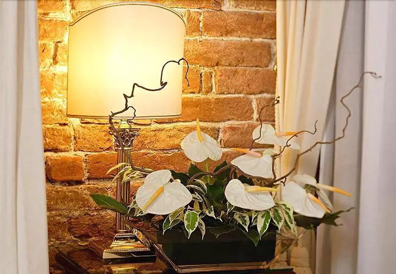 Fotos del hotel Ca' Del Nobile:  9