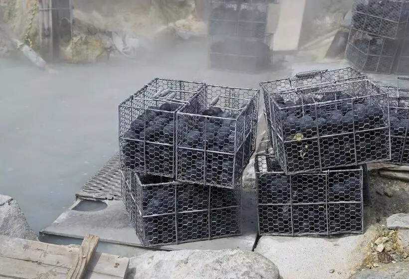 Fotos del hotel Hakone Bettei Koyoi:  14