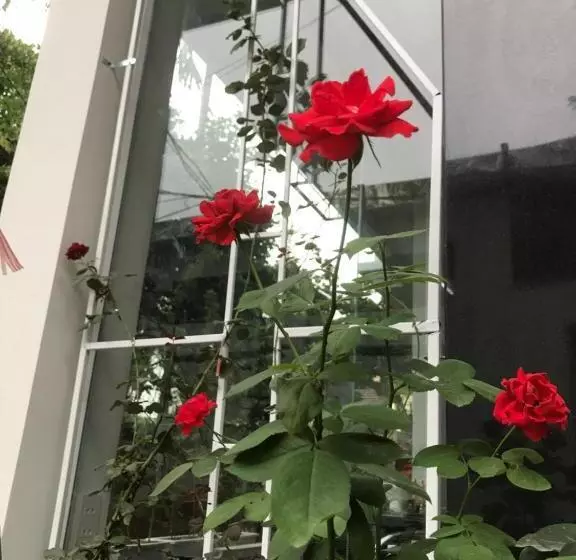 Fotos del hotel Hue Four Seasons:  20