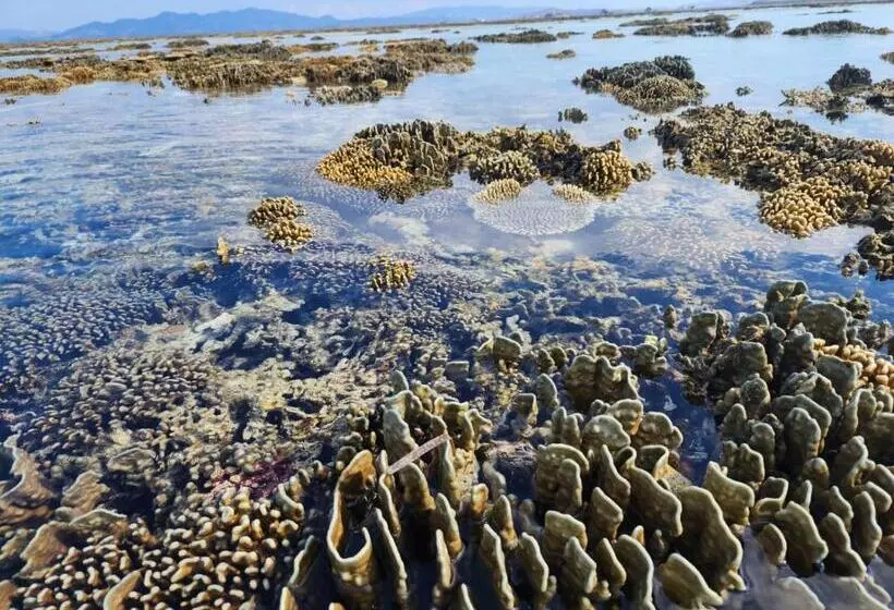 Fotos del hotel Sylvia Resort Komodo Labuan Bajo:  19