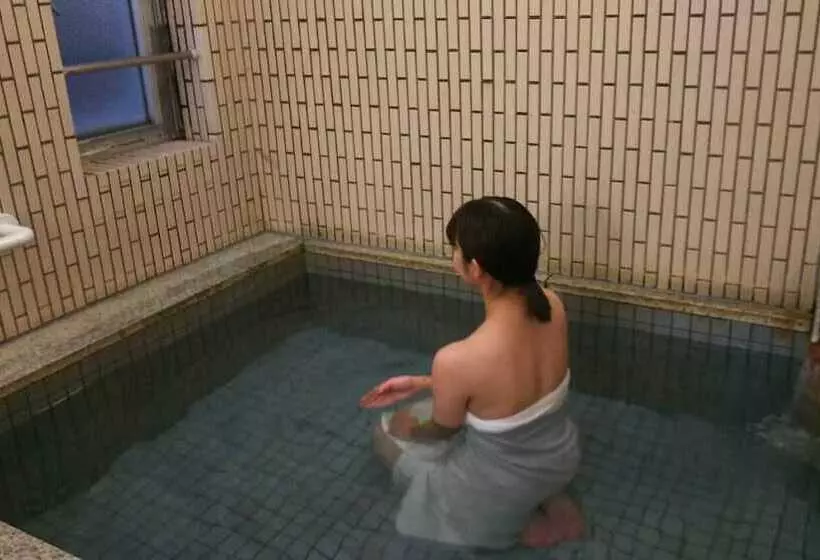 Fotos del hotel Hakodate Park:  13