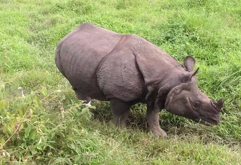 Fotos del hotel Parkland:  20