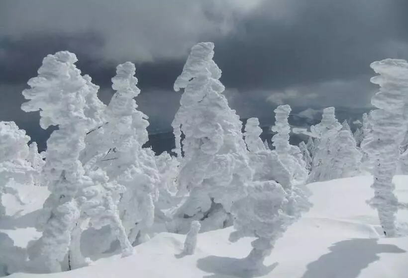 Fotos del hotel Shiga Park:  14