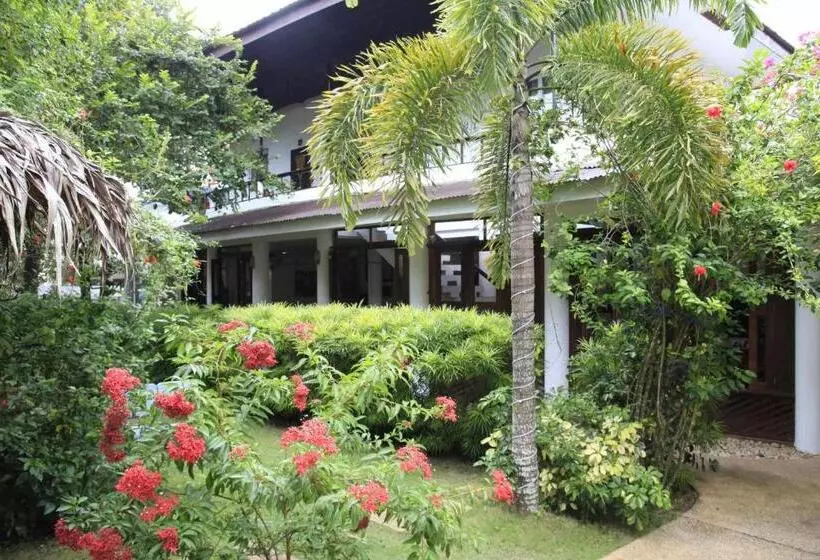 Fotos del hotel Sunz En Coron Resort:  7