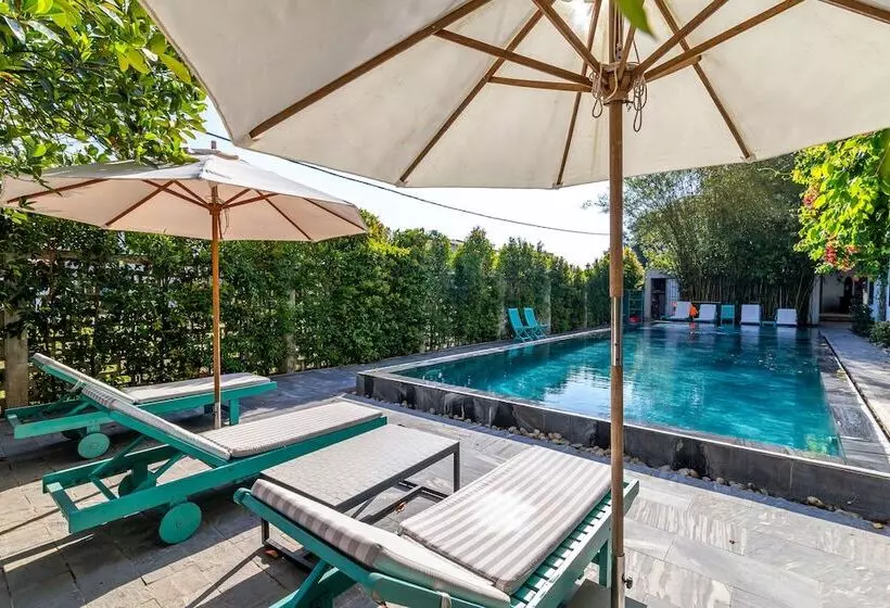 Fotos del hotel Tra Que Mansion:  14