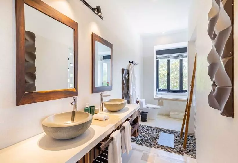 Fotos del hotel Tra Que Mansion:  18