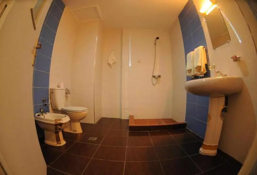 Fotos del hotel Free Zone:  5