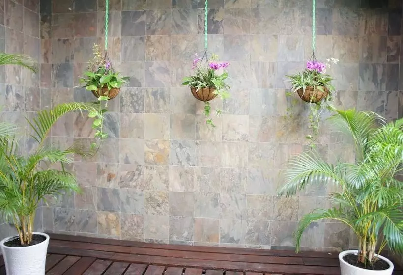 Fotos del hotel Heeren Palm Suites:  14