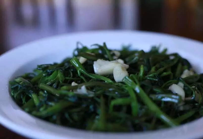 Fotos del hotel Truc Huy Villa:  22