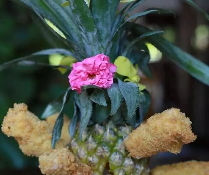 Fotos del hotel Truc Huy Villa:  7