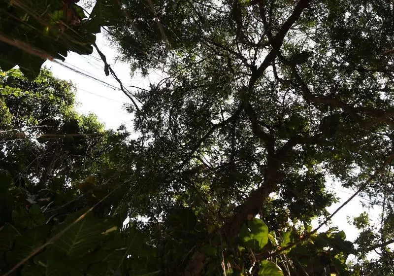 Fotos del hotel Baan Suan Residence:  15