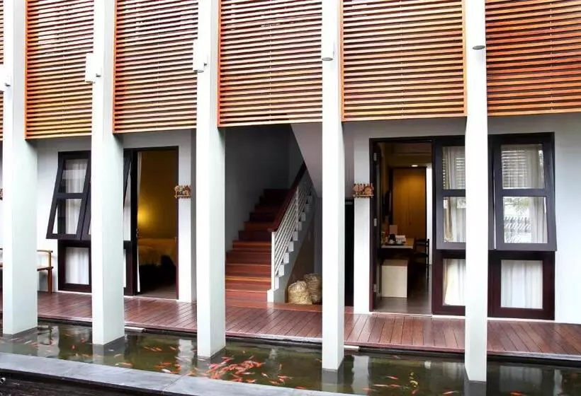 Fotos del hotel Cozy Boutique Guest House:  21